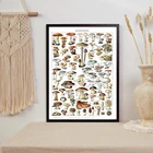 Постер с изображением науки грибов, ботаническая печать, винтажный античный ботанический образование, настенное искусство, холст, живопись, картина, Декор