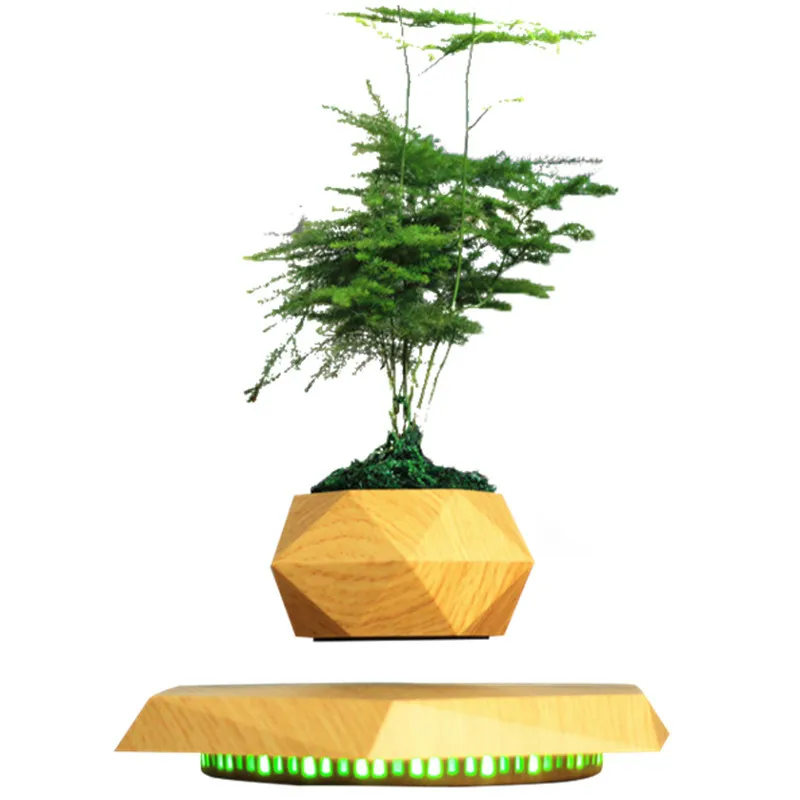 

Magnetic Suspension Flower Pot Desktop Gift Simple Modern Office Desk Surface Panel Decoration Girl Valentine's Day BirthdayGift
