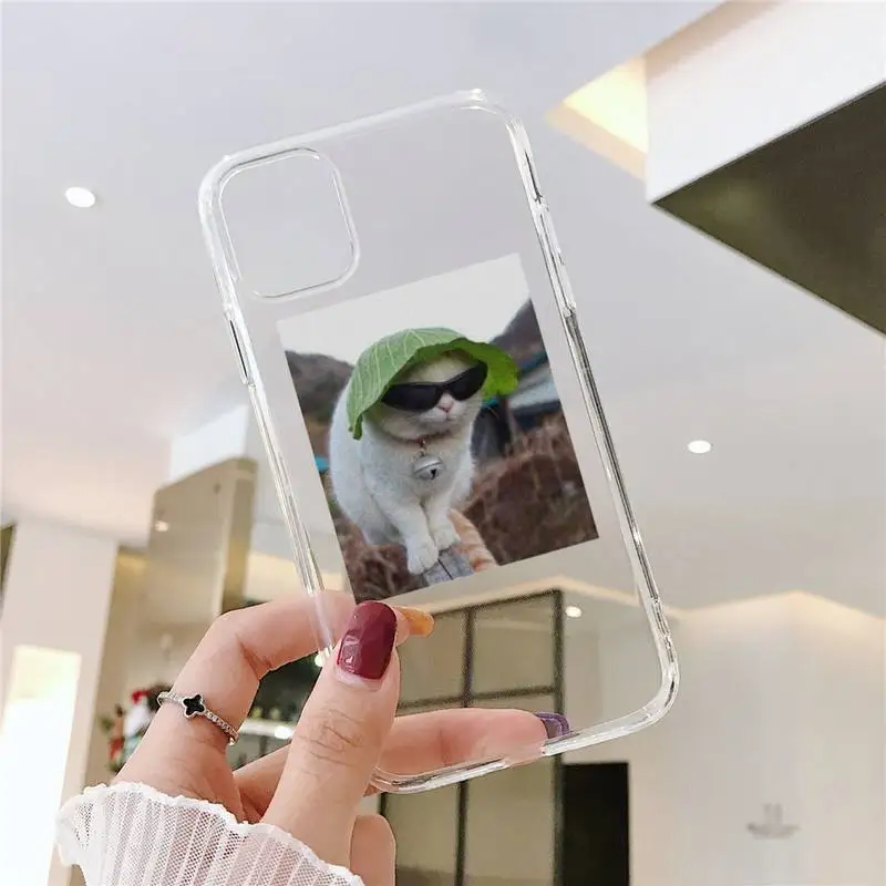 

Cute Cats New Year Gifts Phone Case For iphone 12 11 8 7 6s 6 5 5s 5c se plus mini x xs xr pro max Transparent soft