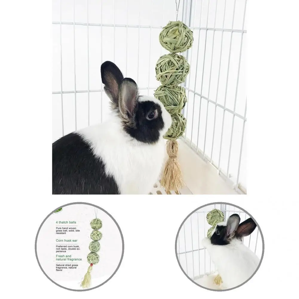 

Healthy No Pigment Hamster Chewing Grass Snack Safe Hamster Snack Rich Fiber for Guinea Pig