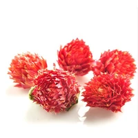 100g natural dried red gomphrena globosa flower budsred globe amaranth flower bud