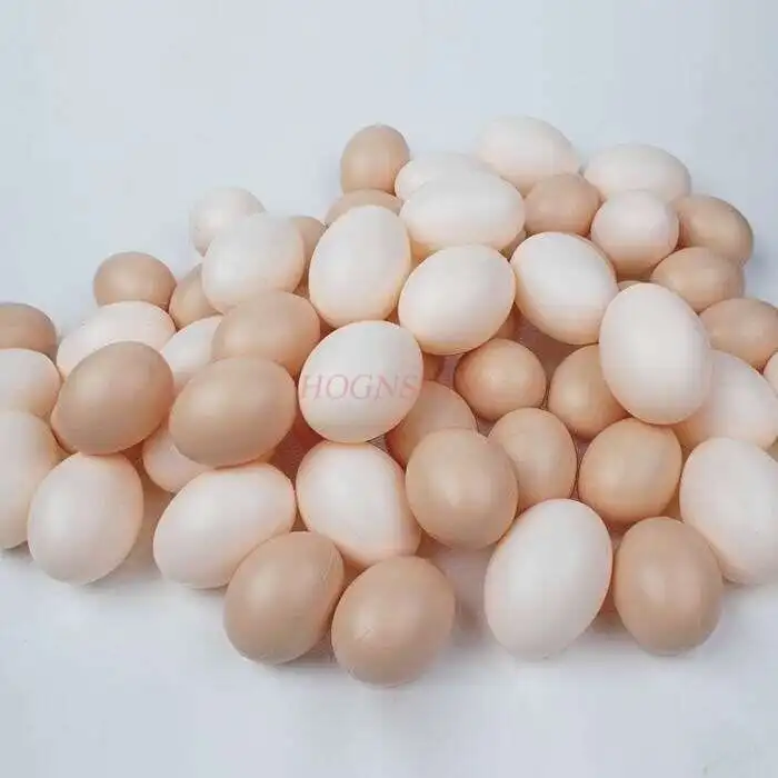 

30pcs Toys Hand Painted Plastic Handmade Children's Art Material Painting Kindergarten Shell