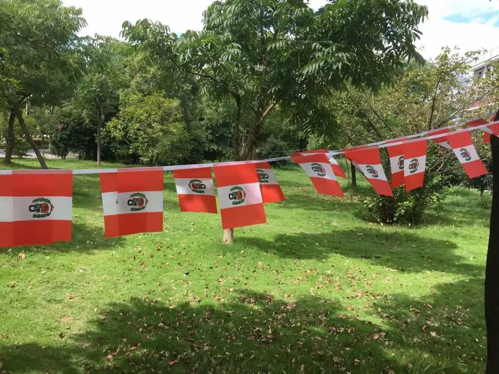 9 м длинные Перу флаг Вымпел стринг баннер Великобритании Бантинг фестиваль