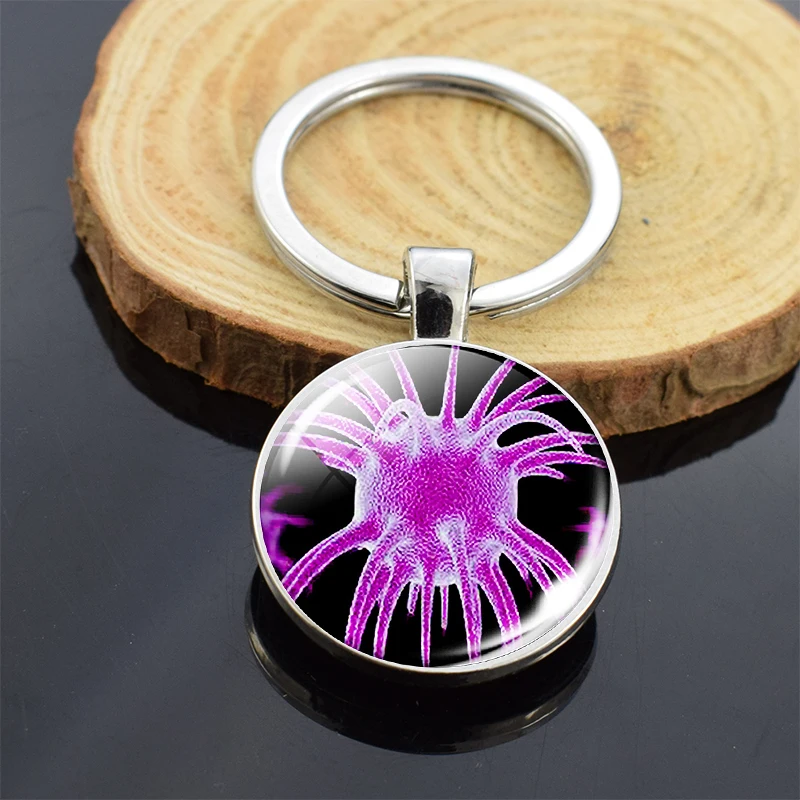 Биологический вирусный раковые клетки изображение стеклянный купол для ключа