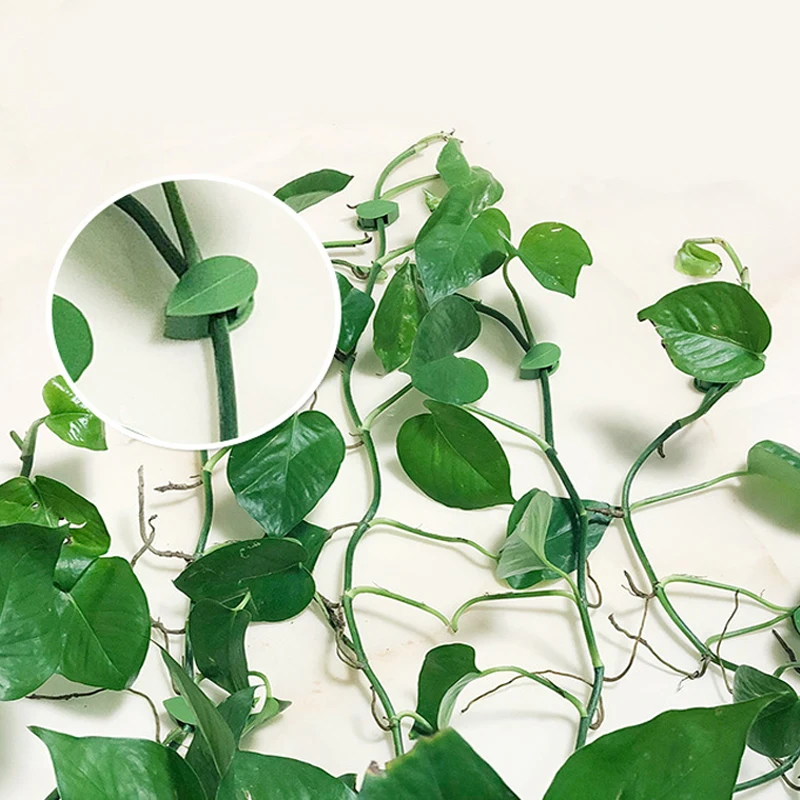 

Невидимое устройство для подъема растений, держатель для лозы, фиксированная Пряжка, зажим для листьев, рама для поддержки сада растений