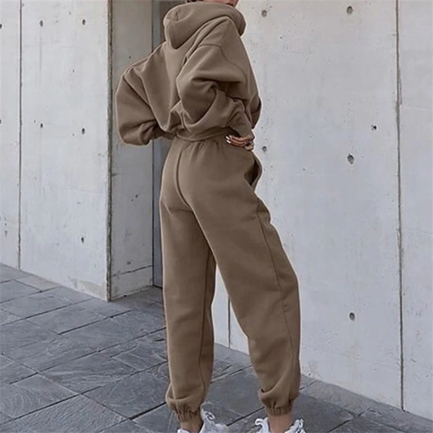 

Solid Tracksuit Women Two Piece Set Autumn Winter Clothes Hooded Oversized Sweatshirt Top Sweatpants Sports Jogging Suit Outfits