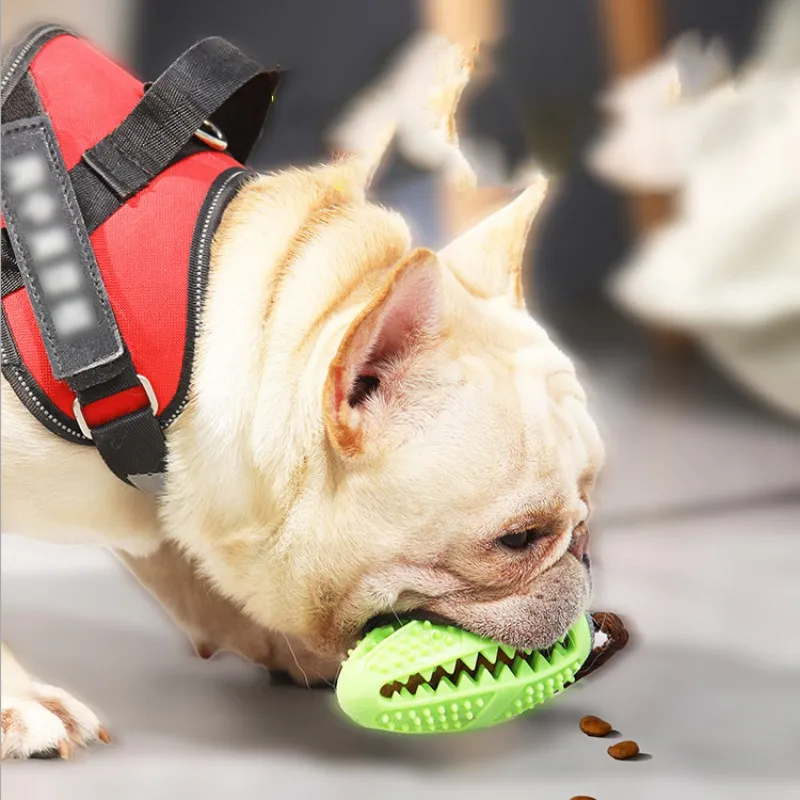 Детская зубная щетка для собак | Дом и сад