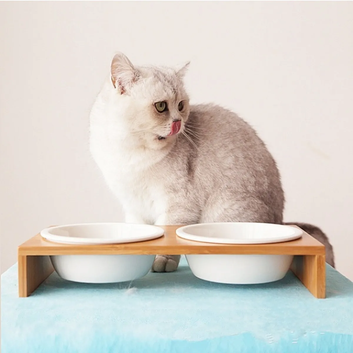

Кормушки для кошек и собак, миска для воды для питомцев, 1/2 чашек, керамическая посуда, Бамбуковая рама, противоскользящие принадлежности для питомцев, миска для кормления собак и кошек
