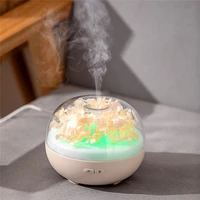 new immortal flower two speed spray with led colorful night light aroma diffuser moisturizing silent humedifier