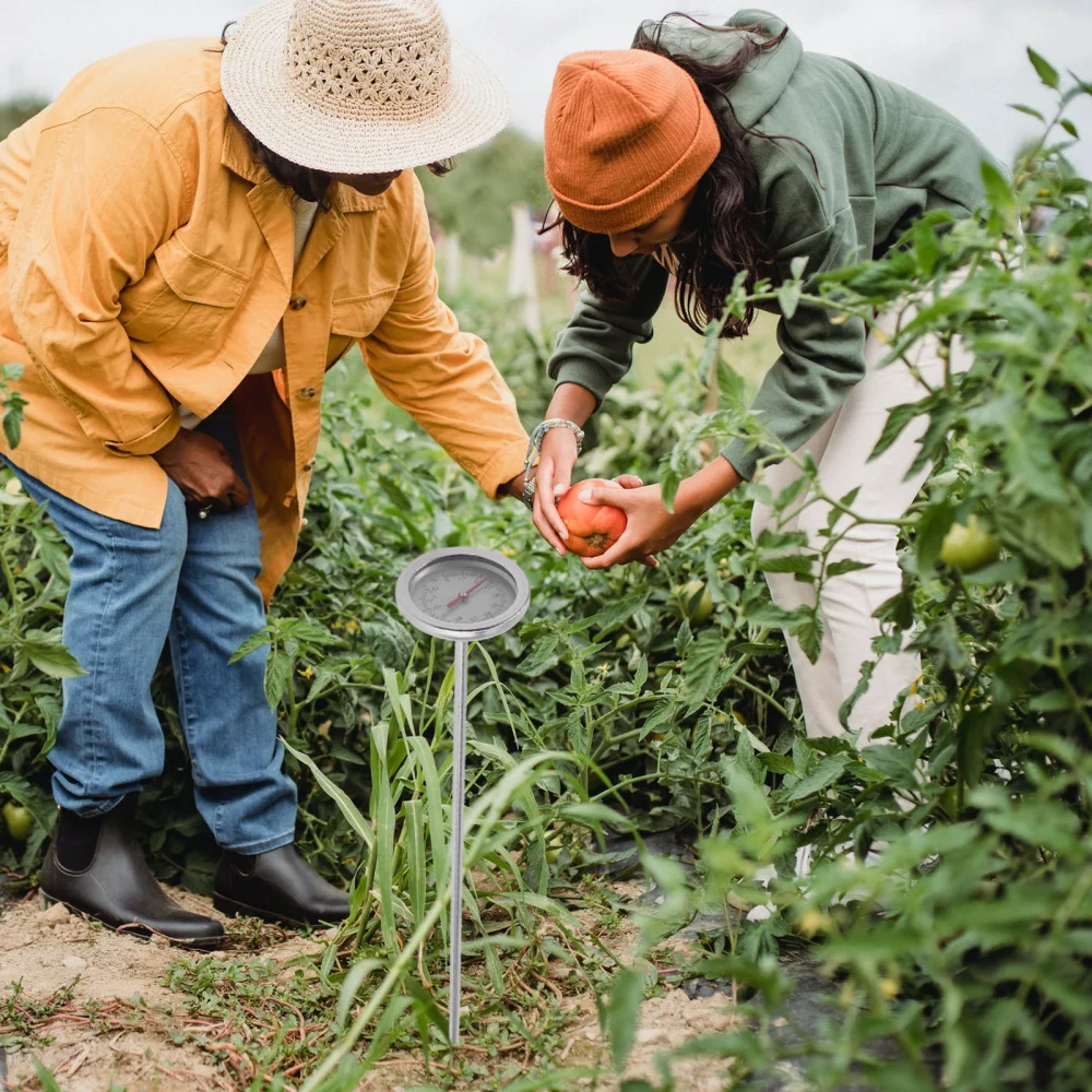 

1pc Gardening Gardening Soil Temperature Detector Tool