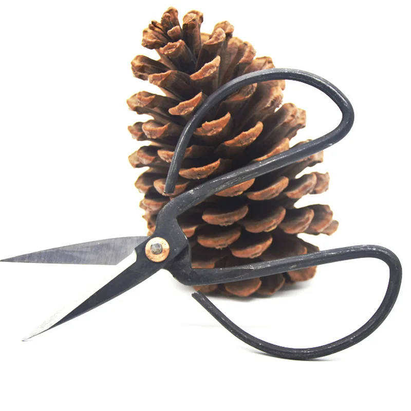 2 шт./партия кованая сталь wangwuquan 148 мм|bonsai scissors|scissors bonsaiscissors steel |