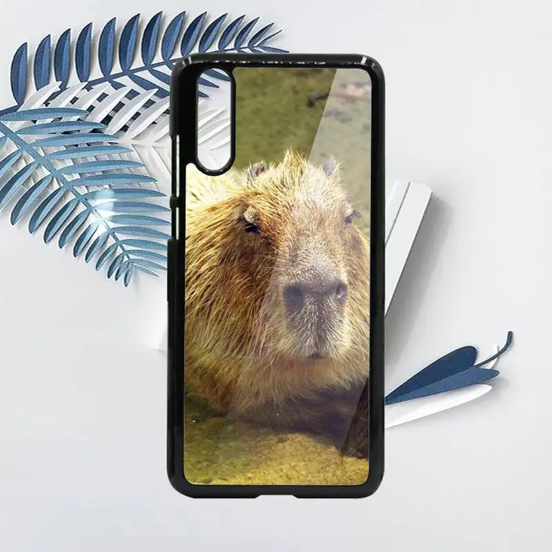 

Capybara cute animal Phone Case PC For Samsung galaxy S note 8 9 20 10 e lite2019 plus pro ultra