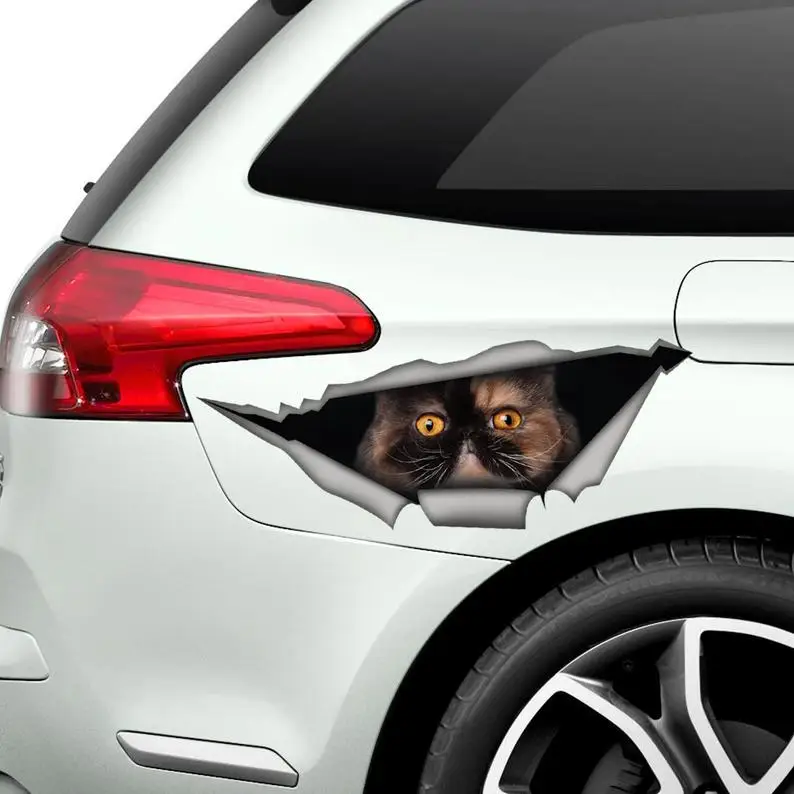 

2021 Tricolor Persian cat car sticker, cat car decal, Persian cat magnet