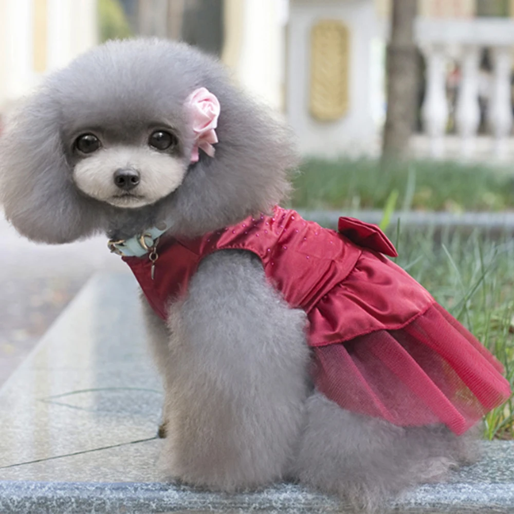 Одежда для домашних питомцев Весенняя и летняя одежда юбка товары