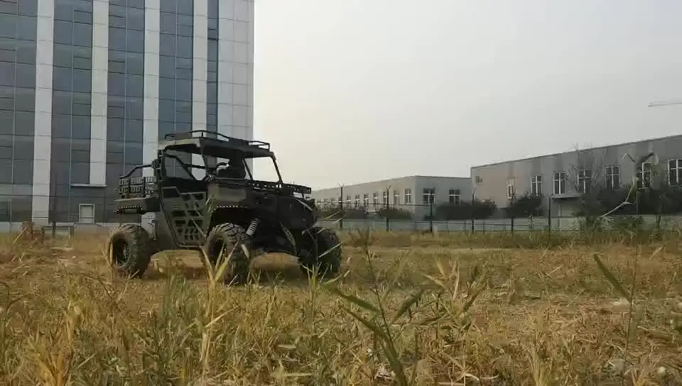 Гоночный автомобиль багги