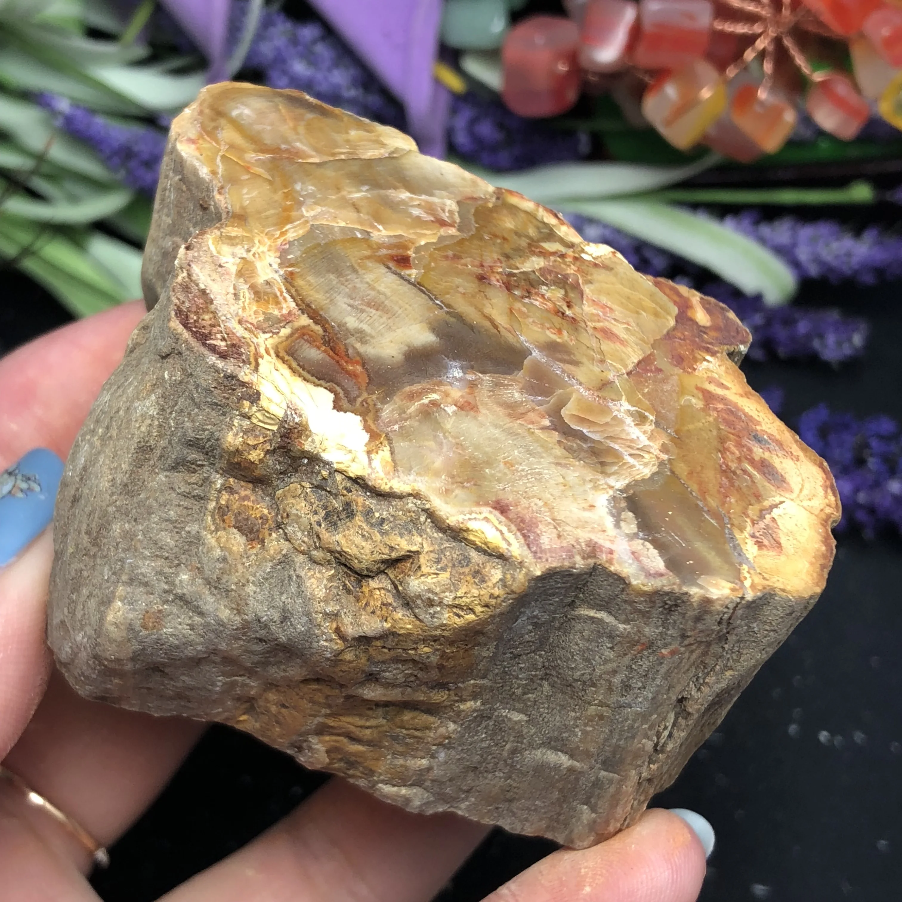 Натуральный каменный камень из окаменелого дерева натуральный минеральный