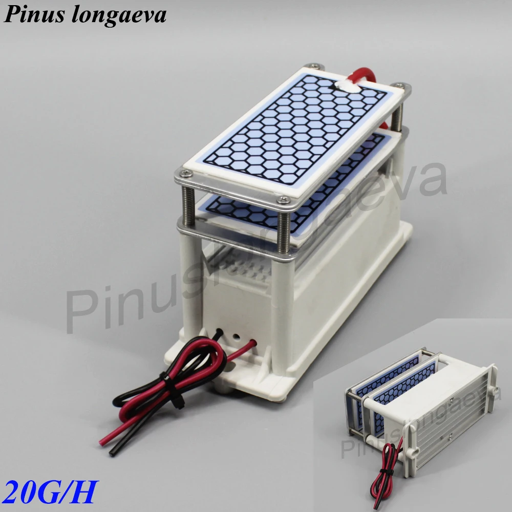 Pinus longaeva дополнительная плата за макияж разницы пожалуйста свяжитесь с нами для