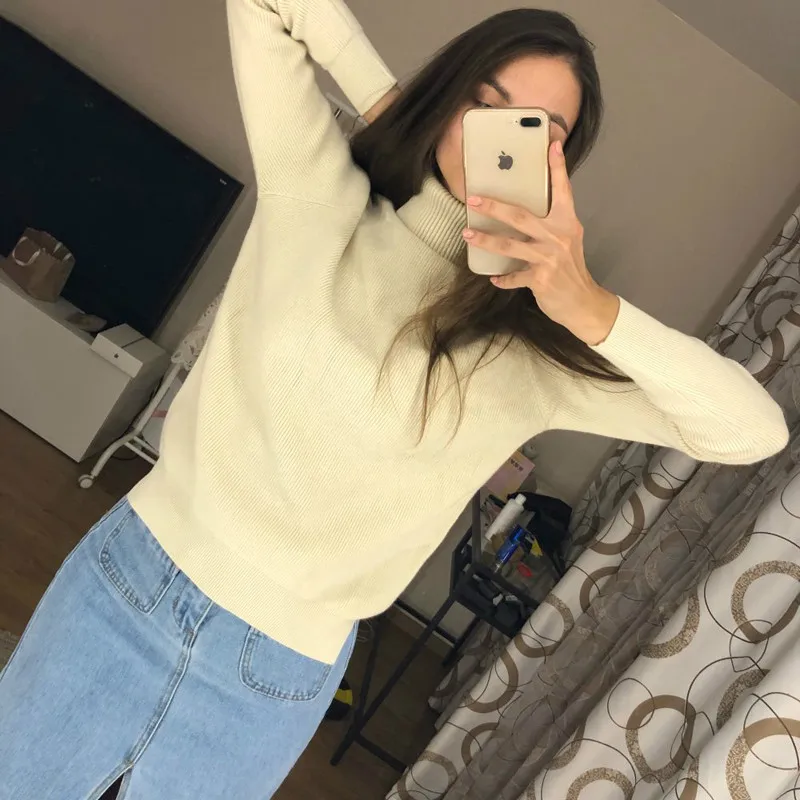 

High Quality Turtleneck Sweater Women Winter Thick Pullover Solid Knitted Sweater Tops for Women Autumn Female Oversized Sweater