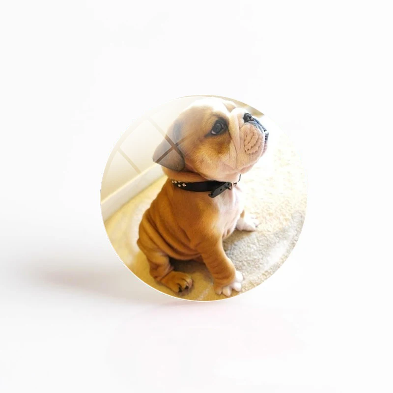 5 шт./лот изображение собаки-бульдога таксы сделай сам 25 мм круглый стеклянный