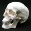 Изображение товара 0