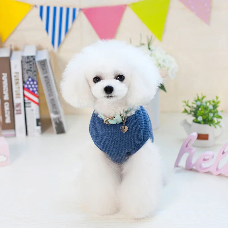Pawstrip S-XXL летняя одежда для собак Однотонная рубашка для щенков Чихуахуа жилет для маленьких собак