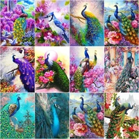 chenistory pictures by number peacock for adult kids painting by numbers animal kits handpainted paintings home decor 40x50cm