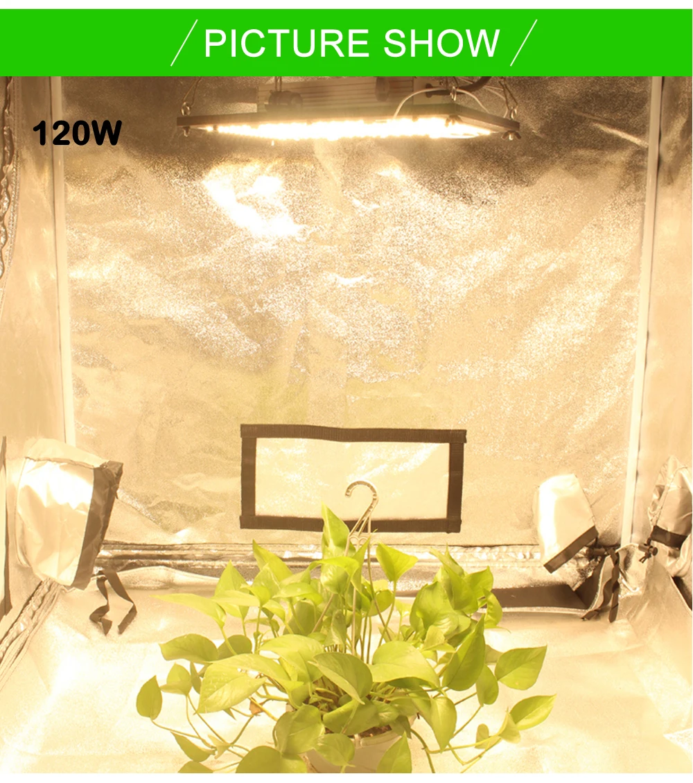 Figolite grow Квантовая доска с регулируемой яркостью УФ ИК светодиодный светильник для выращивания QB288 LM301B 120 Вт 240 Вт 320 Вт 480 Вт с драйвером Meanwell 7 лет гарантии