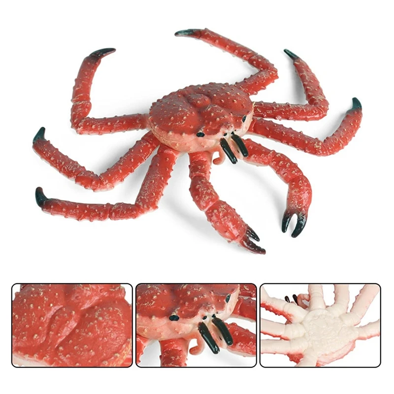 

Simulation King Crab Model Simulation Hermit Crab Marine Animal PVC Model Desktop Decor Education Kids Intellectual Toy