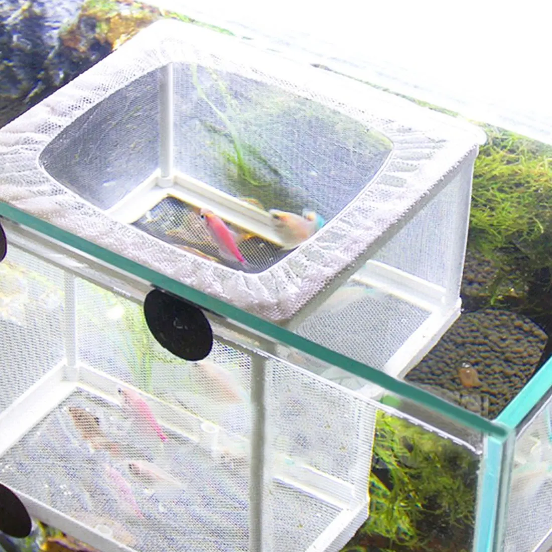 

Injured Fish Breeding Incubator Net Hanging Fish Hatchery Isolation Box M/L for Aquarium Accessory Separate Isolation Fish Tank