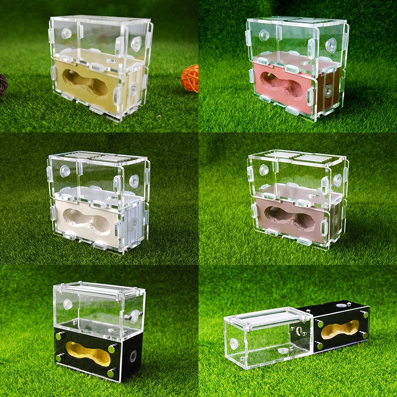 

Bionic Acrylic Plaster Anthill Ant Pet Ant Farm Small Colony of Ants Feeding Box Insect Terrarium