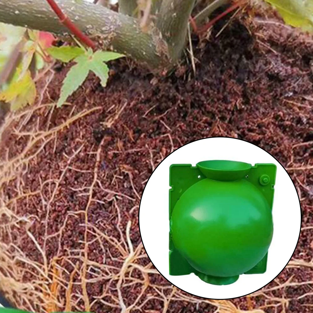 

Green Plant Growing Grafting Rooting Devices Box High Pressure Gardening Plant Root Ball Breeding Case Grafting Plant Box