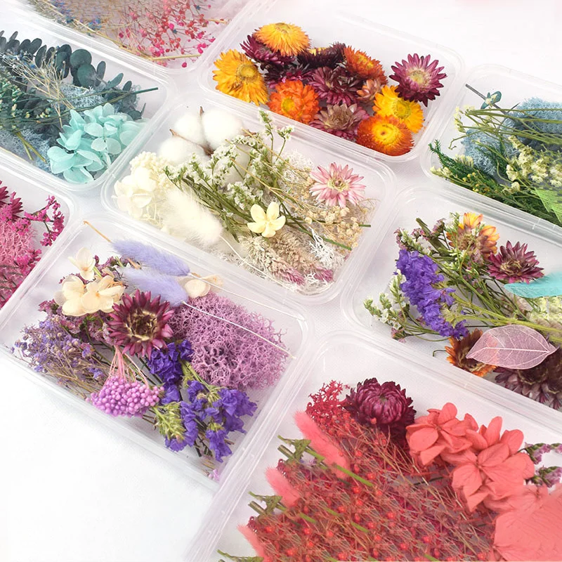 

1 Box Real Dried Flower Dry Plants For Aromatherapy Candle Epoxy Resin Pendant Necklace Jewelry Making Craft DIY Accessories