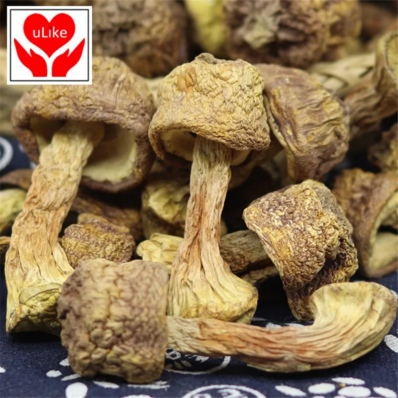 

Dried Mushroom Agaricus Blazei