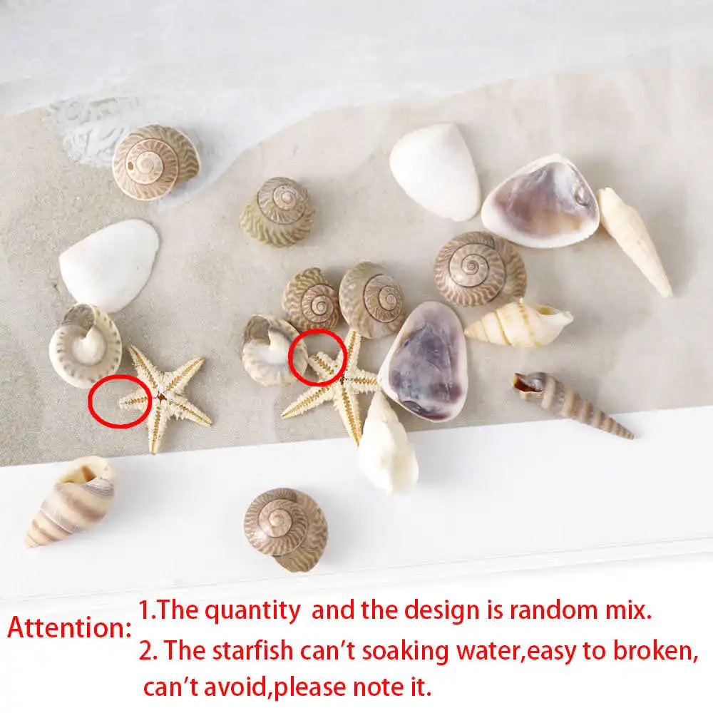 1/2/5 коробка 3D натуральное украшение для ногтей мини ракушки морские пляжные