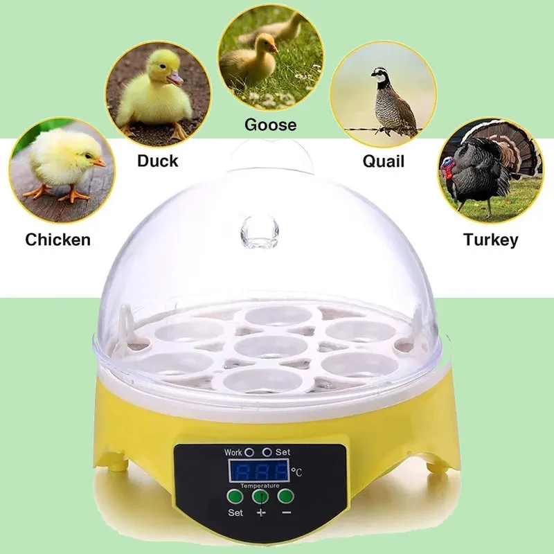 

TOP Selling Brooder Household 7 Eggs Smart Incubator Features Best Chicken Duck Goose Quail Bird Poultry Hatcher Machine
