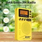 Цифровой и fm-радио персональный портативный карманный ручной цифровой радио Будильник sd-карта MP3 плеер встроенный Rechargea