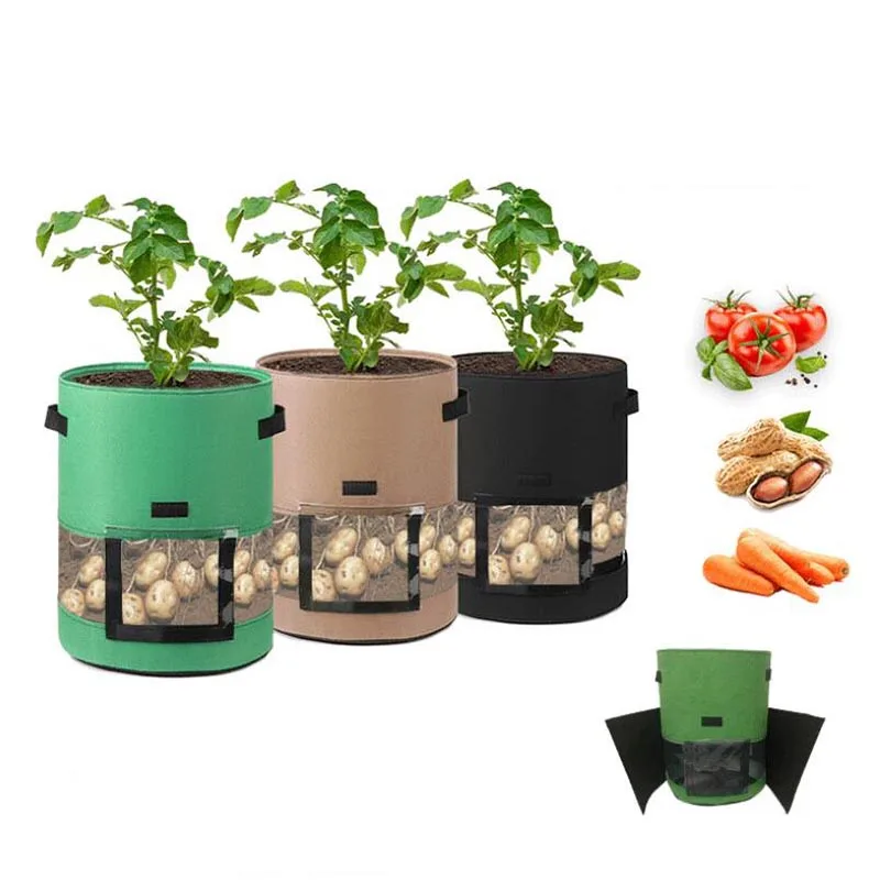

Новые пакеты для выращивания картофельных растений с окошком
