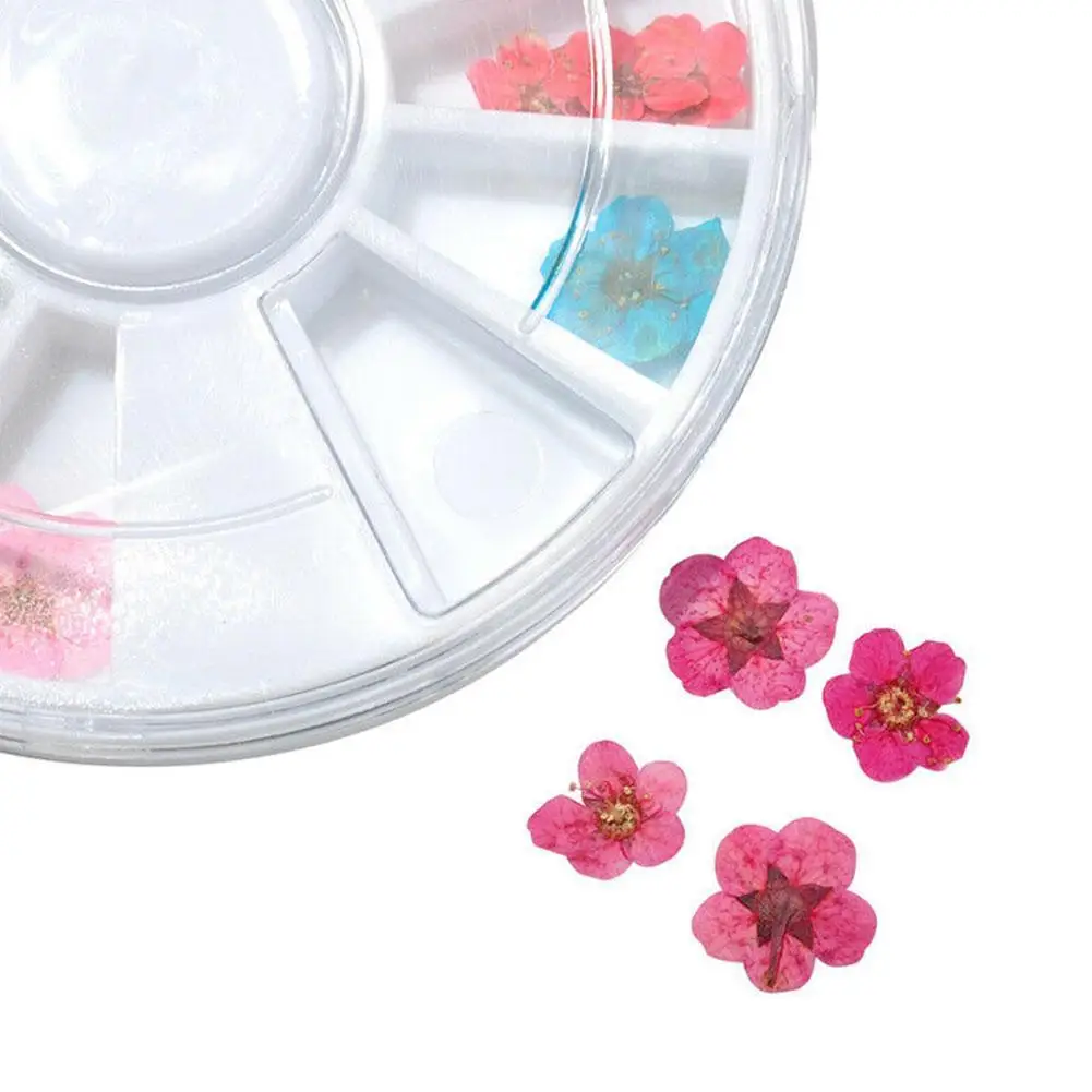1 Box 3D Mixed Dried Flower Nail Decoration Jewelry Manicure Color Floral Art Decals 12 Accessories Natural For DIY Sticker O6N8