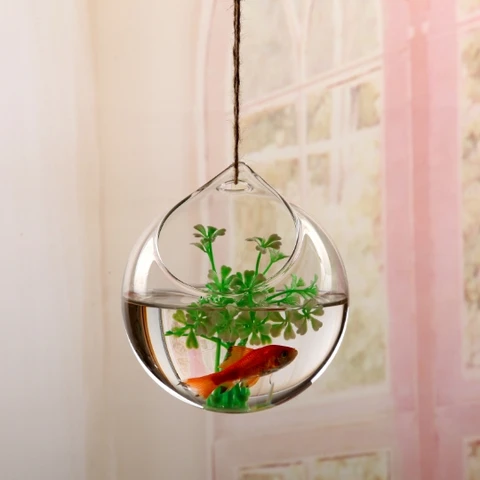 Прозрачная Круглая Стеклянная подвесная ваза для цветов для домашнего сада, контейнер для террариума, емкость для аквариума, рыбы
