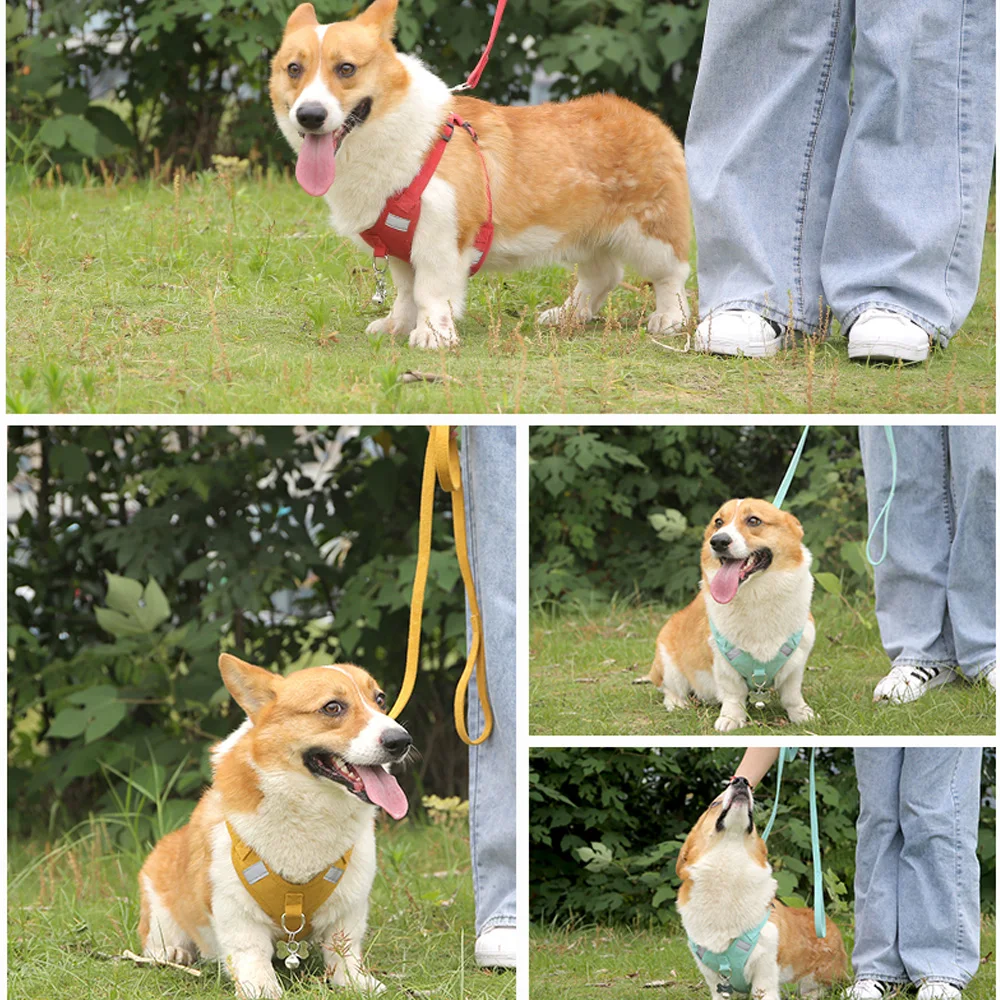 2021 новая шлейка для собак ошейник щенков нагрудный жилет поводок домашних