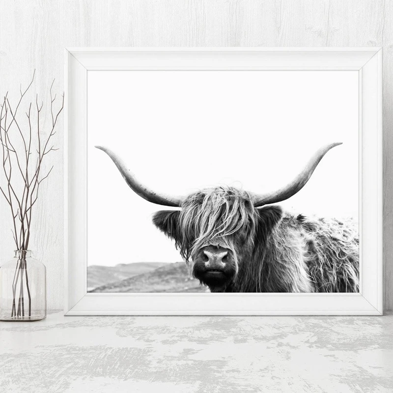 

Home Decor Painting Highland Bull Canvas Print Farm Animal Poster Modern Nordic Wall Art Modular Picture For Bedroom Background