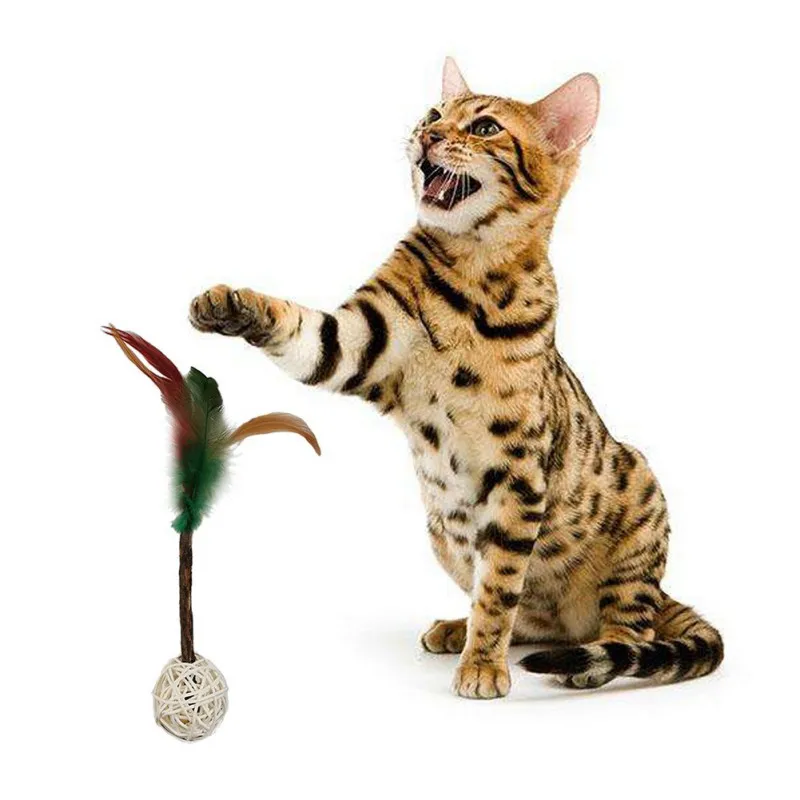

1PC Cat Toys Cat Toothpaste Stick Interactive Feather Toy Cat Turkey Feather Toy Tease Cat Stick Pet Supplies Pet Cleaning Teeth
