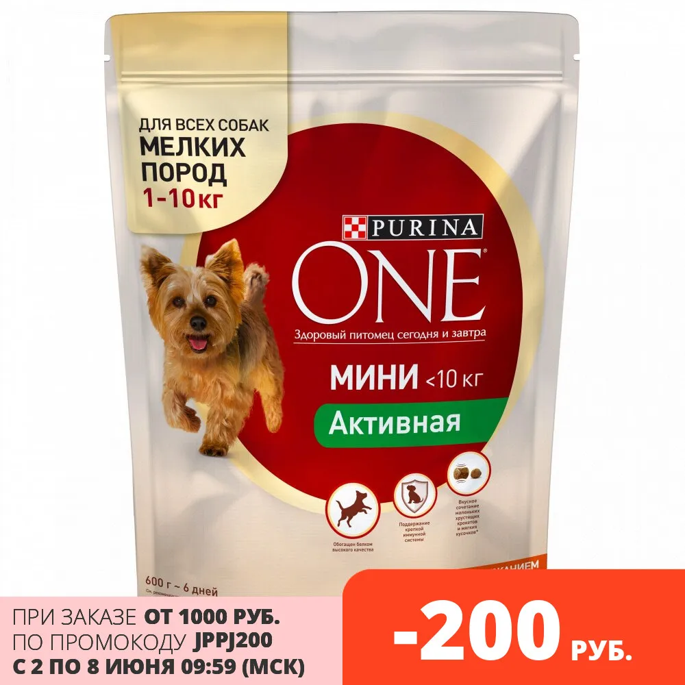 Сухой корм для собак мелких пород Purina ONE МИНИ Активная с курицей и рисом Пакет 600