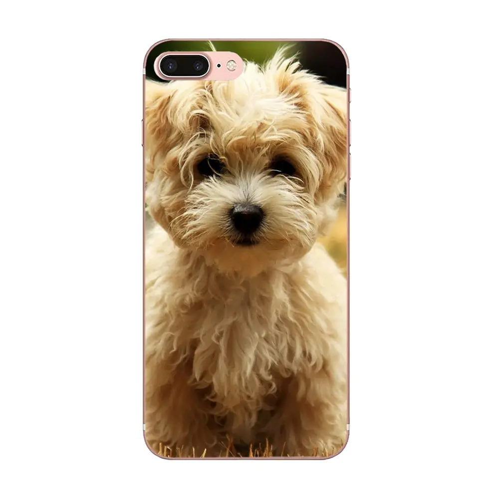 Soft TPU Original West Highland Terrier Dog Puppy For Sony Xperia XZS XA1 L1 XA X Z Z1 Z2 Z3 Z4 Z5 XZ1 Compact E5 XZ Premium | Мобильные
