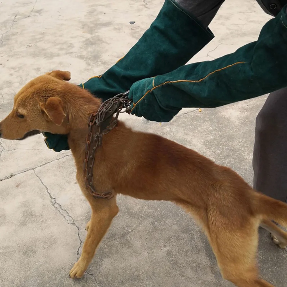 

1 Pair Reliable Pet Anti-bite Reptile Protective Pet Accessory