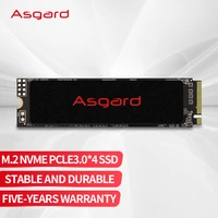 asgard an2 internal hard disk 250gb 500gb pcie3 0 x4 solid state drive m 2 nvme m2 2280 for laptop desktop