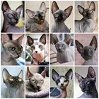 Набор для алмазной 5D вышивки бисером Huacan, полное квадратное мозаичное украшение с изображением сфинкса, кошки, домашнего декора