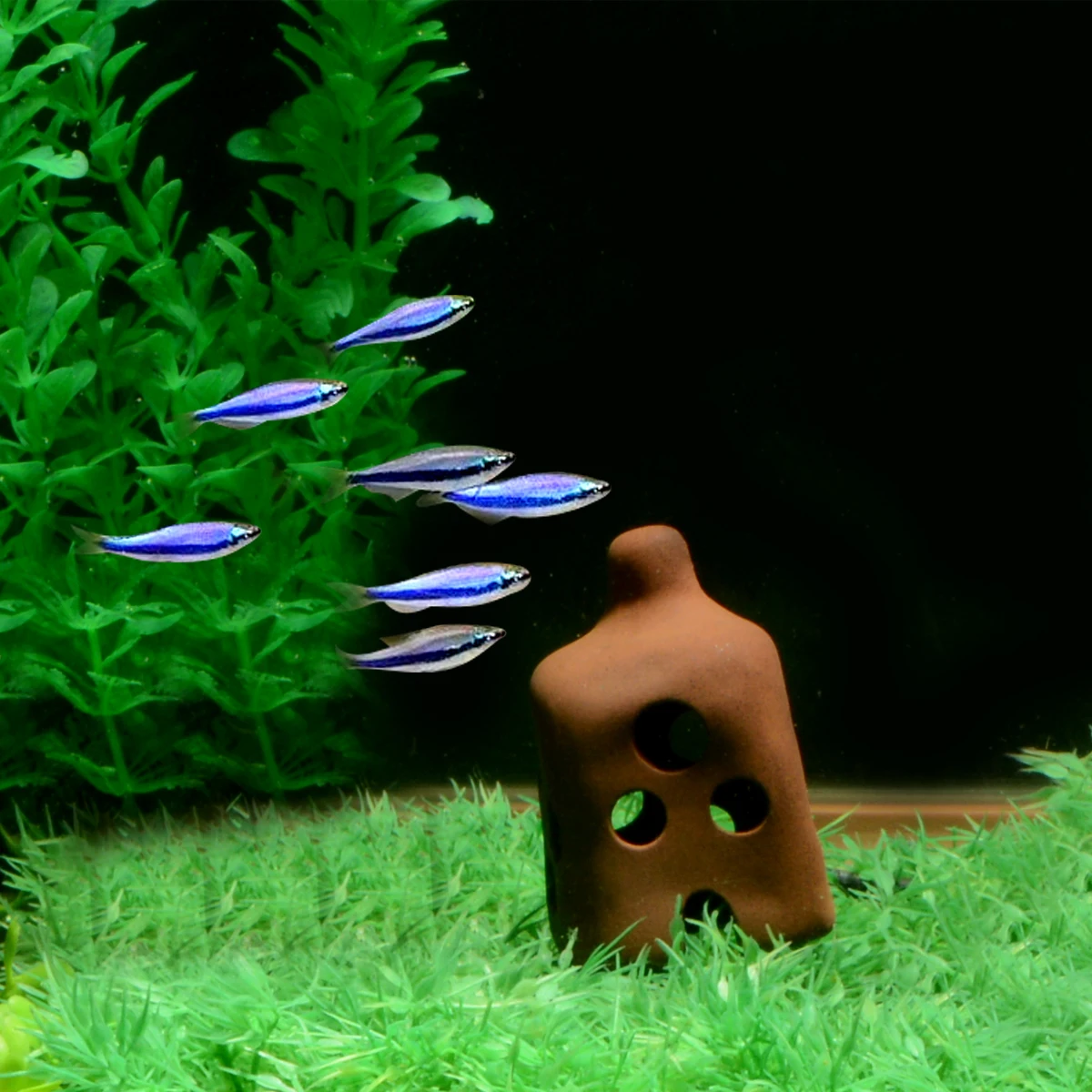 Украшение для аквариума Saim украшение керамические рыбы и искусственный