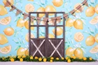 Фон для фотосъемки с изображением лимона тематическая вечеринка на день рождения украшения с изображением старой деревянной двери для новорожденных портретный фон для фотосъемки с изображением W-4388