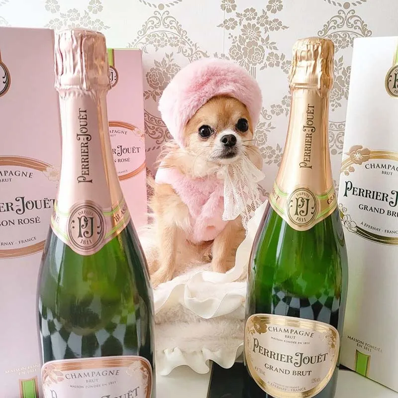 Головной убор для домашних питомцев из искусственного кроличьего меха |